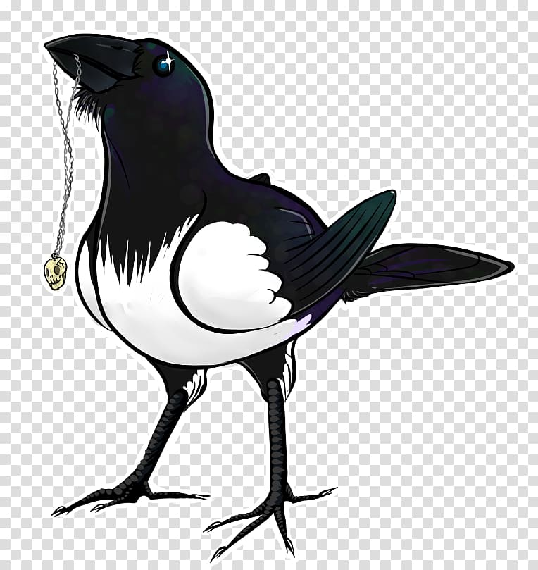 Eurasian Magpie Black-billed Magpie Bird Art, MAgpie transparent background PNG clipart