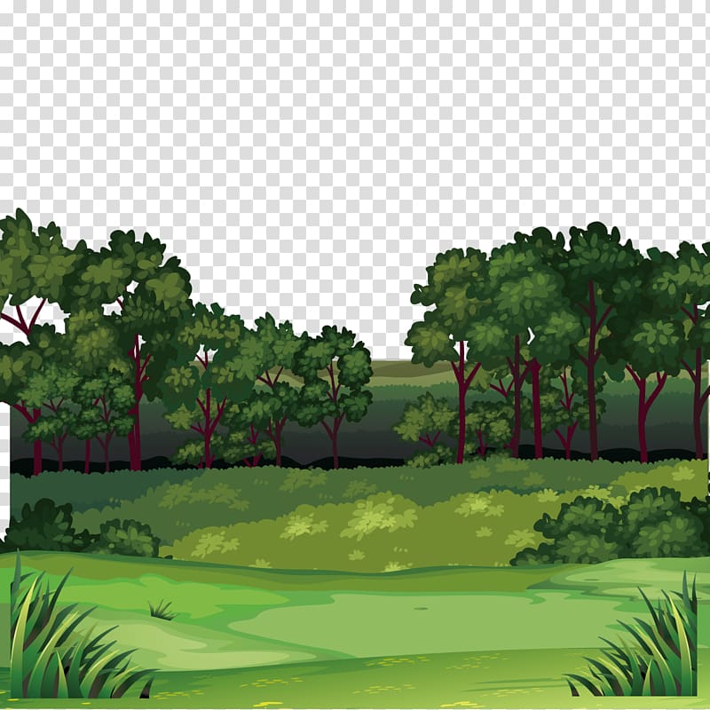 green trees illustration, Forest , Jungle scenery transparent background PNG clipart