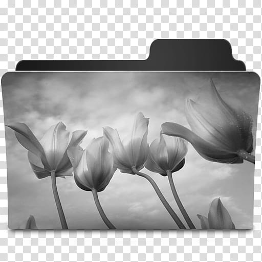 Desktop Computer Icons Video door-phone Morning, white Tulips transparent background PNG clipart