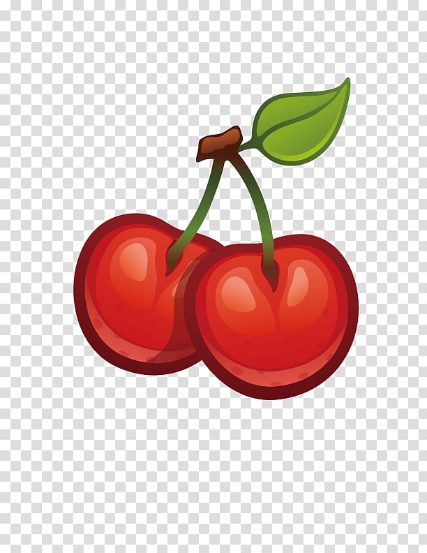 Cherry Fruit Cerasus Berry, Delicious apple transparent background PNG clipart