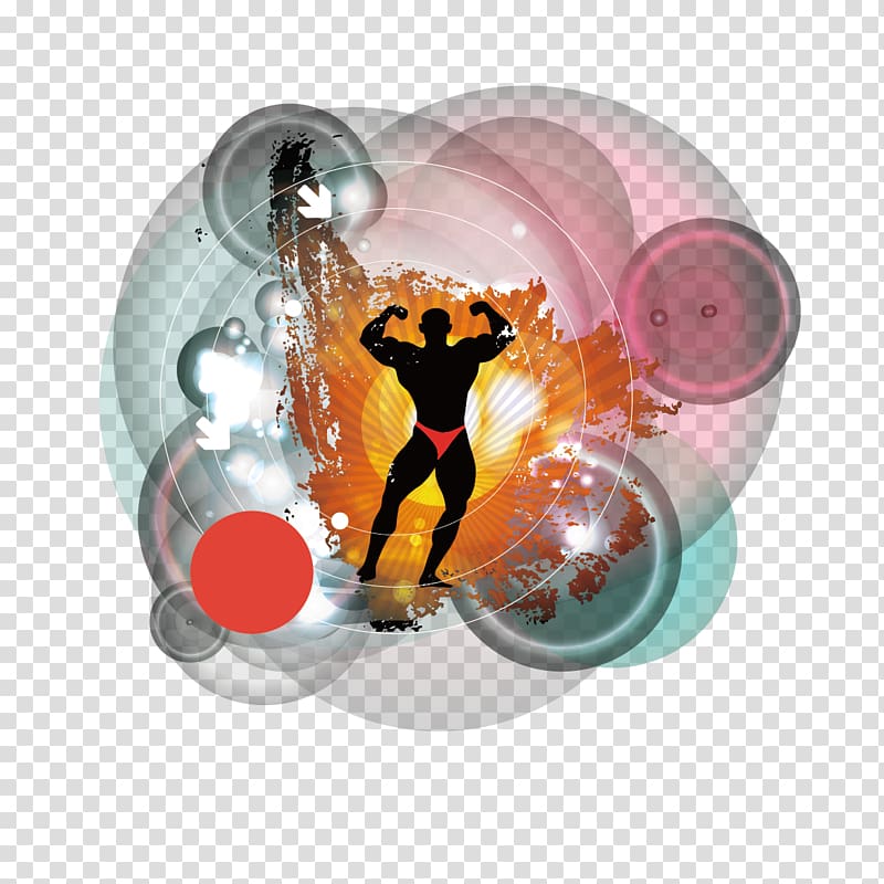 Physical fitness Bodybuilding, Fitness people transparent background PNG clipart