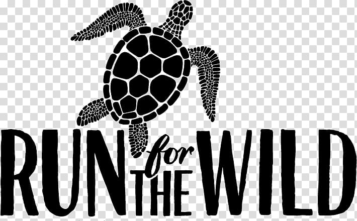 Sea turtle Tortoise Logo Douchegordijn, turtle running transparent background PNG clipart