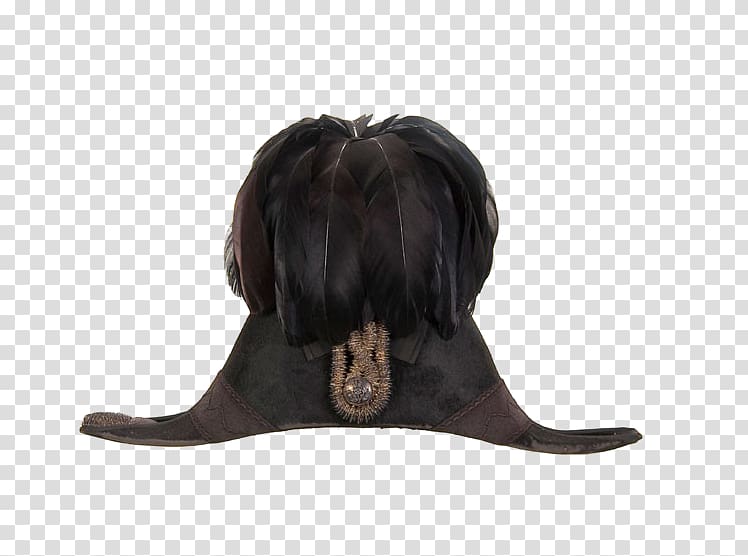 Hat Designer Feather, Black Feather Hat transparent background PNG clipart