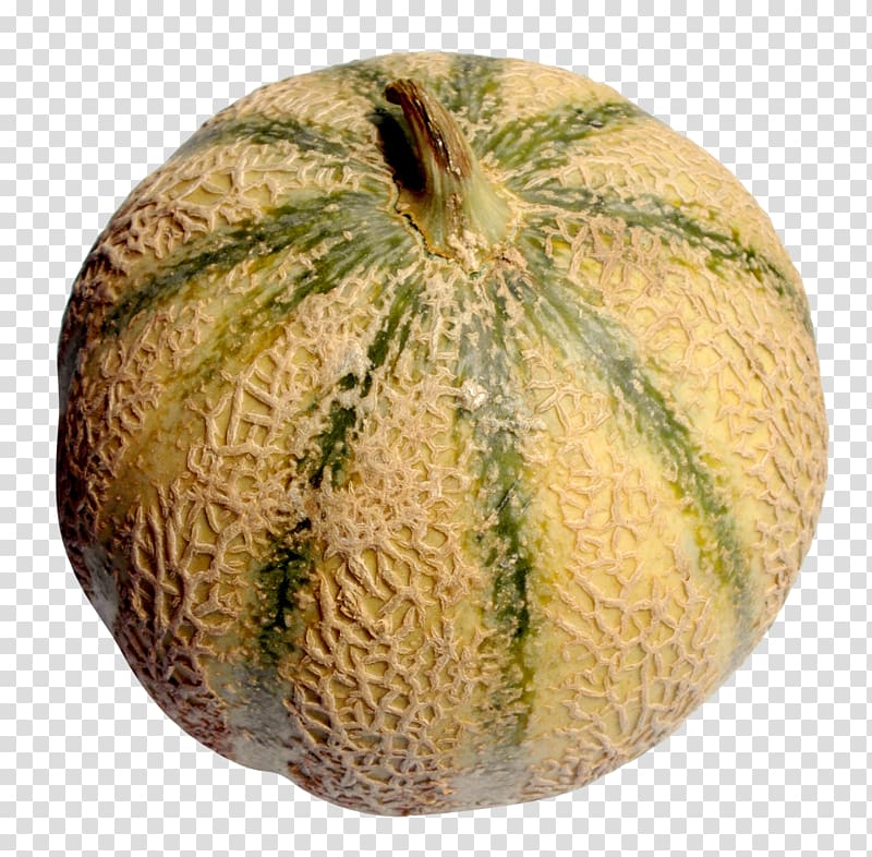 Melon transparent background PNG clipart