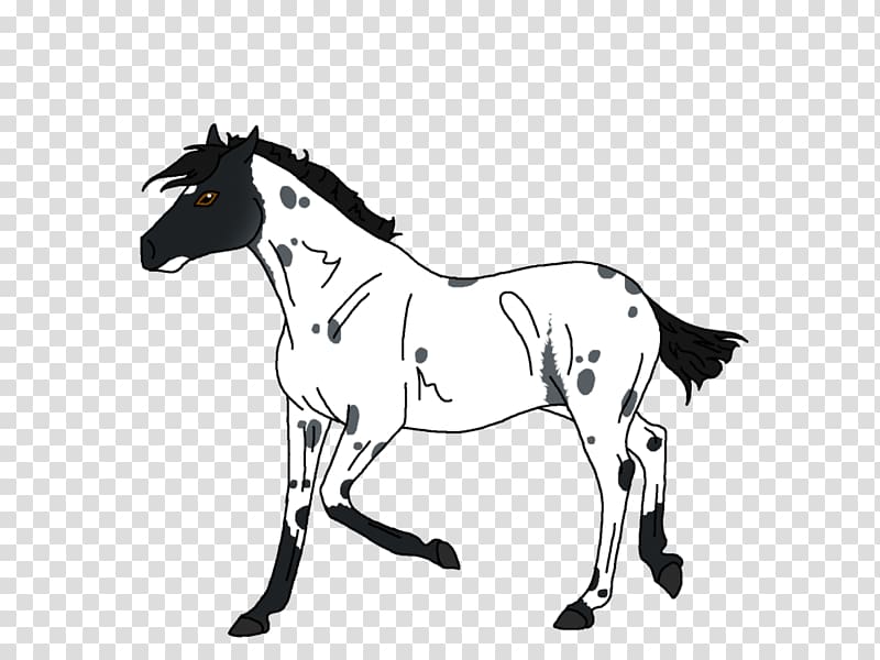 Mule Foal Stallion Colt Pony, mustang transparent background PNG clipart