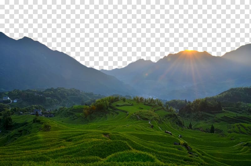 Mount Scenery Green, Sunrise in paddy fields transparent background PNG clipart