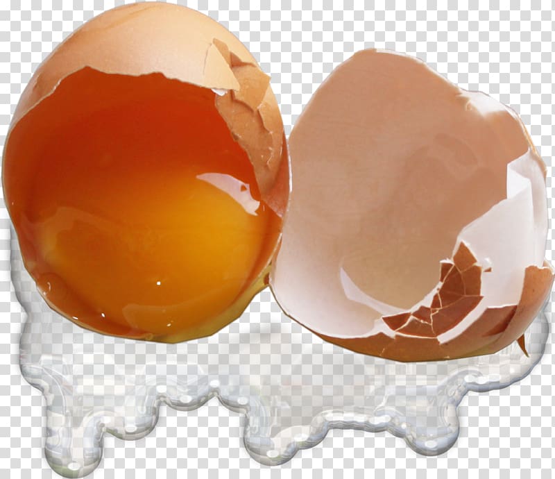 Free download | Chicken egg Yolk, Broken egg shell transparent ...
