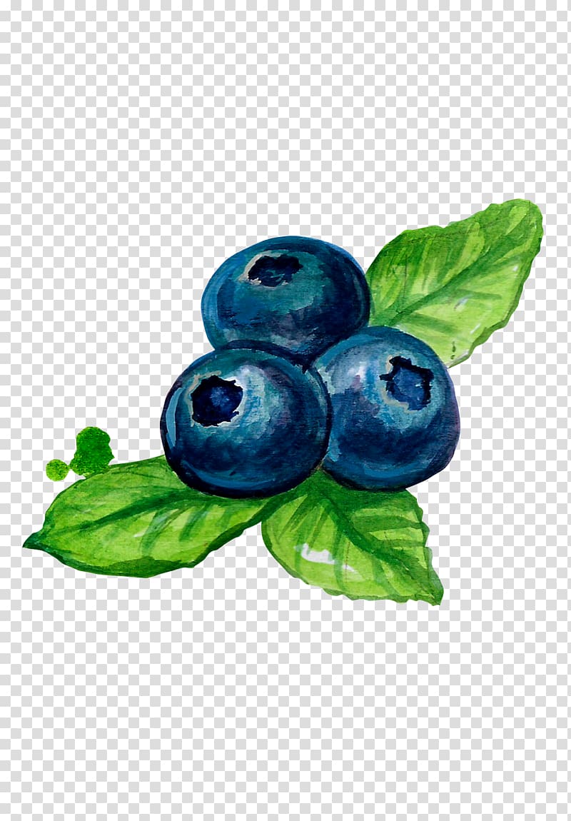 blueberry painting, Bilberry Blueberry Fruit, Blueberry painted wind transparent background PNG clipart