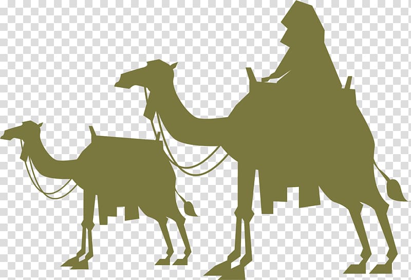 Camel Desert Wilderness, Green Camel transparent background PNG clipart