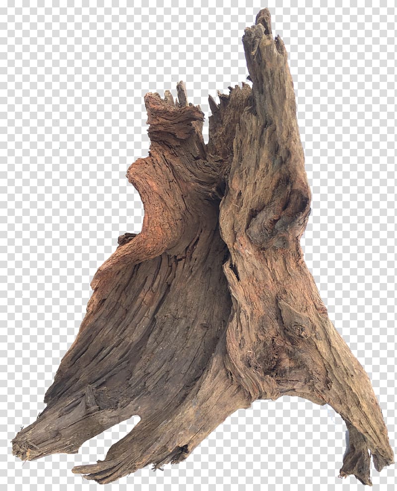 Driftwood Sculpture Trunk Tree, wood transparent background PNG clipart