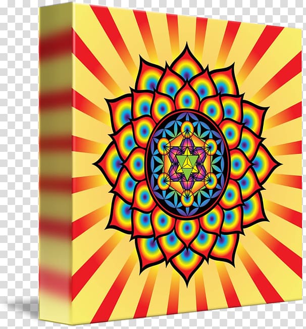 Art Overlapping circles grid Metatron's Cube Sacred geometry, painting transparent background PNG clipart