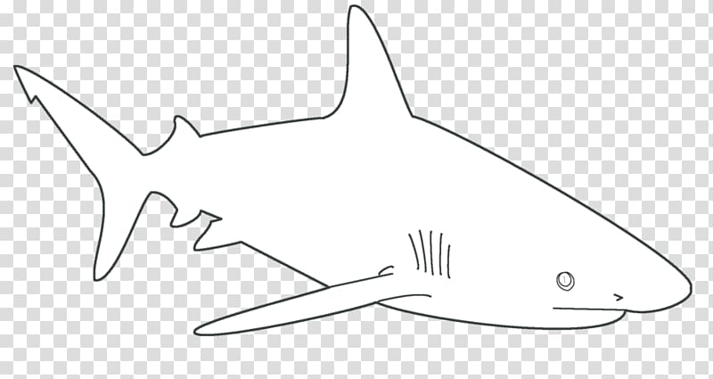 Great white shark Template Shark finning Blue shark, funny Shark ...