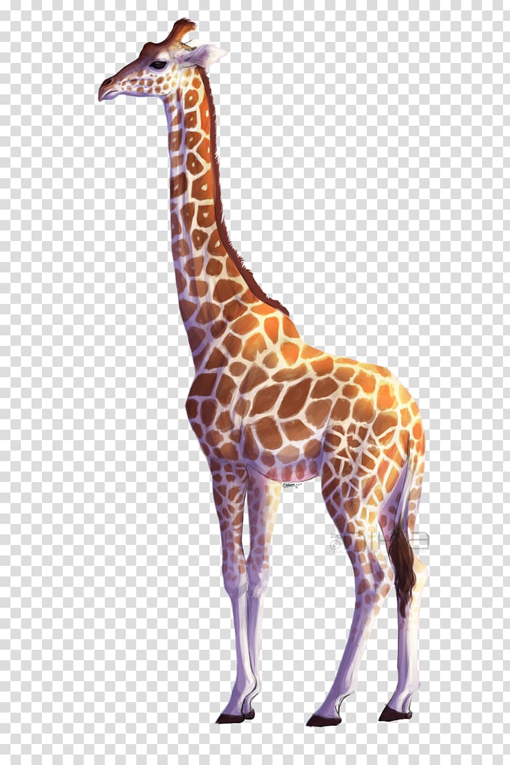 Giraffe transparent background PNG clipart