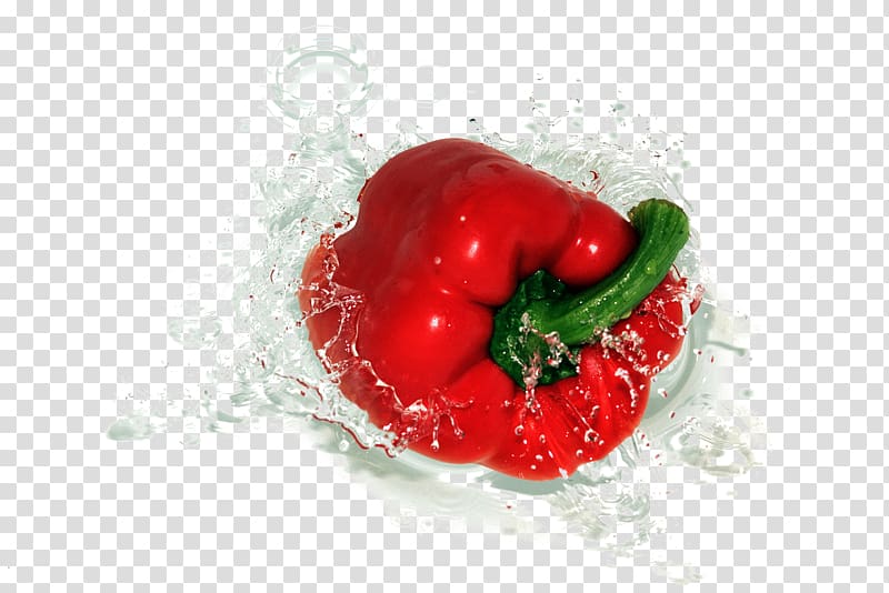 Bell pepper Chili pepper Vegetable Fruit Tomato, Water, red pepper transparent background PNG clipart