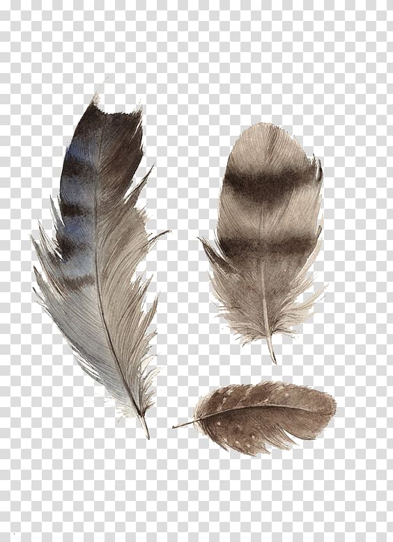 Paper Panel painting Feather Wood, Cartoon black feathers transparent background PNG clipart