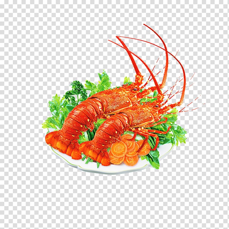 Homarus gammarus Palinurus elephas Caridea Crab Lobster Thermidor, lobster transparent background PNG clipart