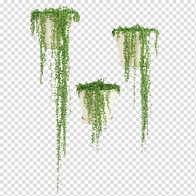 three green potted leafed plants, Autodesk 3ds Max Flowerpot 3D modeling 3D computer graphics, Three grass flower basket transparent background PNG clipart