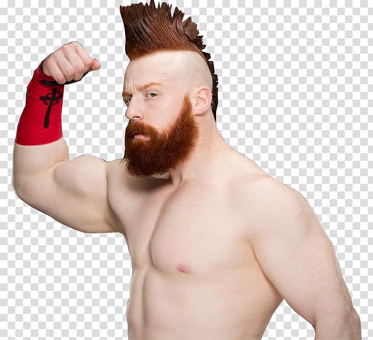 Sheamus WWE Championship WWE Intercontinental Championship Kofi Kingston, sheamus transparent background PNG clipart