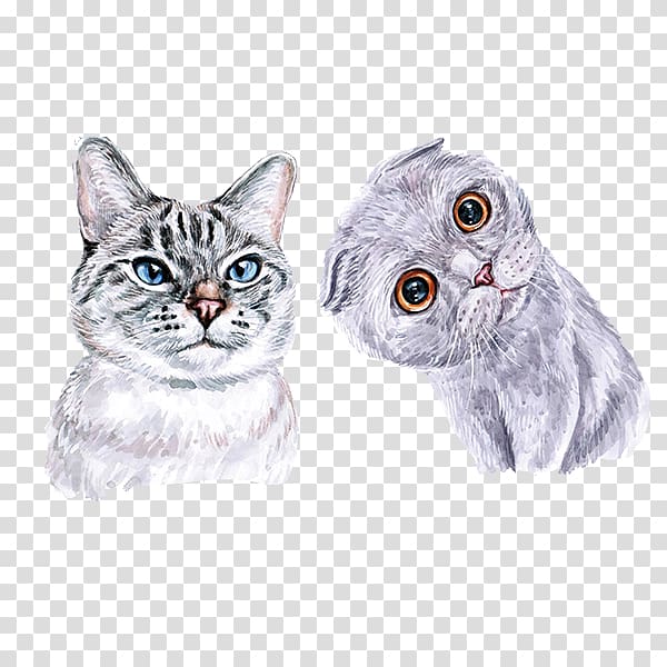 hand painted watercolor cute cat head portrait transparent background PNG clipart