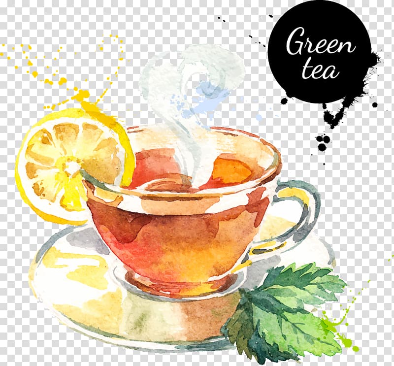 Green tea Darjeeling tea Drink, Green tea cup transparent background PNG clipart