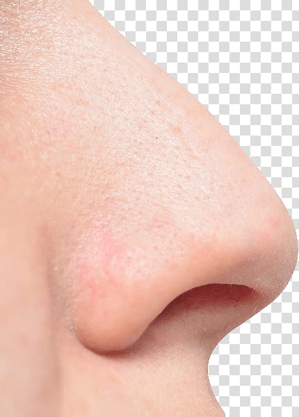 person's nose, Large White Man Nose transparent background PNG clipart
