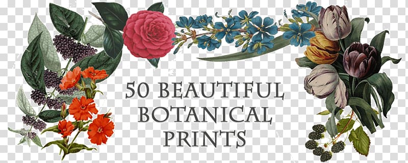 Kew Gardens Lithography Printing Flora, botanical prints transparent background PNG clipart