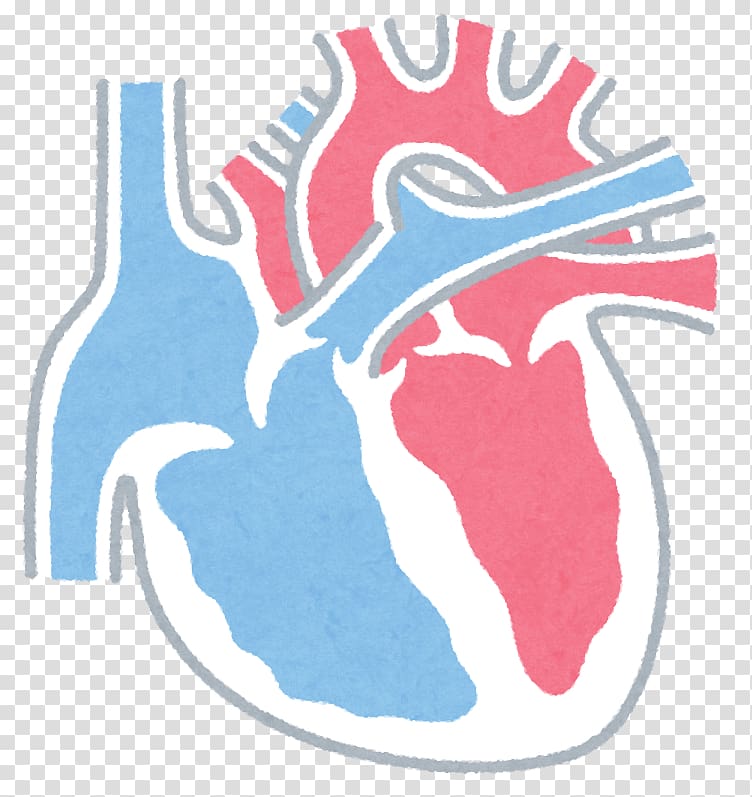 Coronary artery disease Heart Premature ventricular contraction Cardiology, heart transparent background PNG clipart