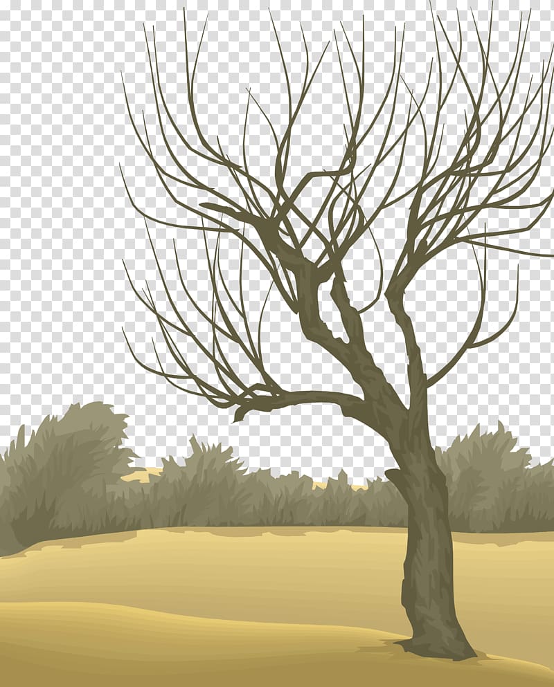 Season Tree, Winter dead tree transparent background PNG clipart