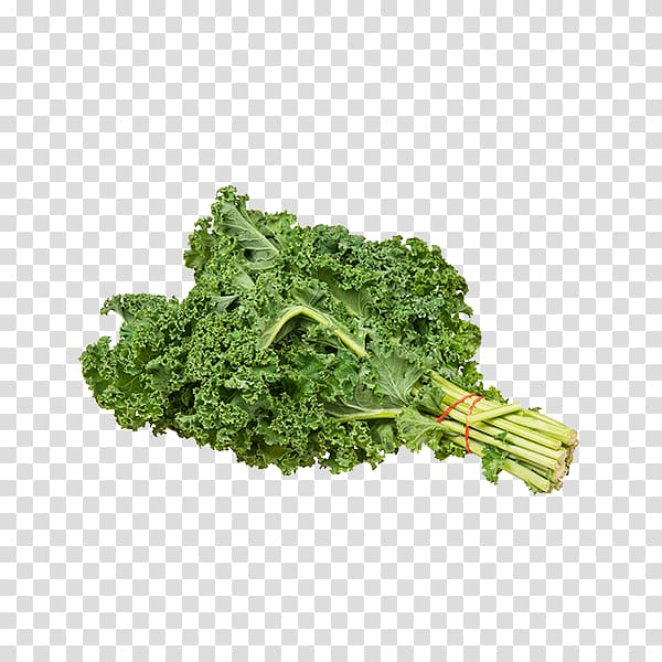 Kale Collard greens , kale transparent background PNG clipart