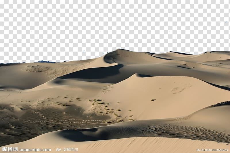 desert field, Sahara Erg Dune Sand, desert transparent background PNG clipart