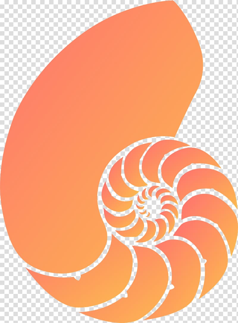 Seashell Nautilidae Coral , seahorse transparent background PNG clipart