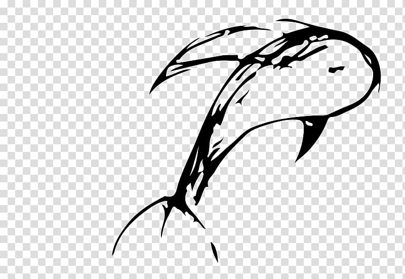 Dolphin , freehand lines transparent background PNG clipart