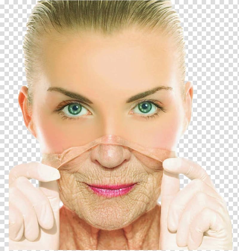 Ageing Anti-aging cream Wrinkle Life extension Skin care, Face transparent background PNG clipart