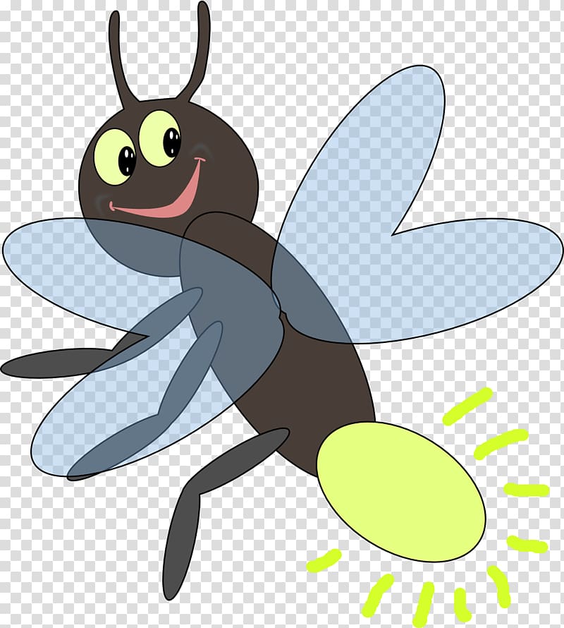 Firefly , firefly transparent background PNG clipart