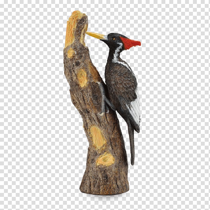 Ivory-billed woodpecker Bird AAD TOTAL ADMINISTRATION SRL Horse, Bird transparent background PNG clipart