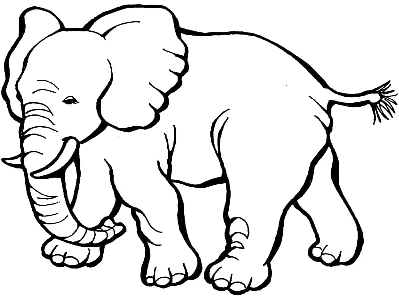 Coloring book Elephant Child Page, Elephant transparent background PNG clipart