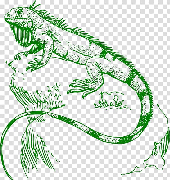 Lizard Green iguana Reptile Chameleons Tattoo, Cartoon Iguana transparent background PNG clipart