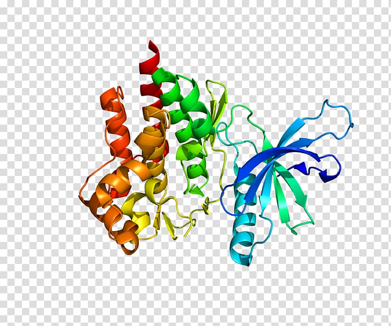 Tyrosine kinase 2 Receptor tyrosine kinase, others transparent background PNG clipart