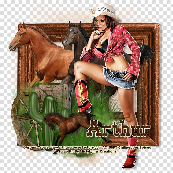 Bridle Stallion Halter Rein Cowboy, CowGirls transparent background PNG clipart