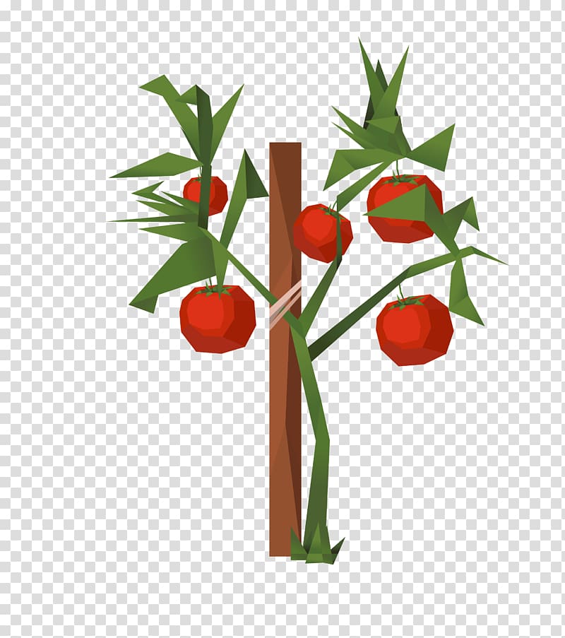 Tomato , color abstract apple tree transparent background PNG clipart