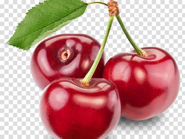Sour Cherry Fruit Tart Drupe, cherry transparent background PNG clipart