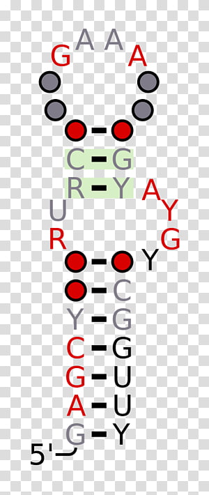 Line Point Angle , line transparent background PNG clipart thumbnail