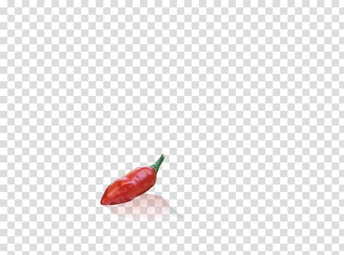 Bird's eye chili Serrano pepper Tabasco pepper Cayenne pepper Chili pepper, Pepper cartoon transparent background PNG clipart