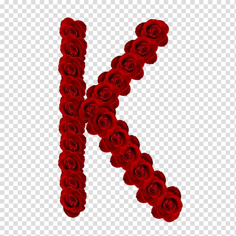 Lettering Alphabet, rosas vermelhas transparent background PNG clipart