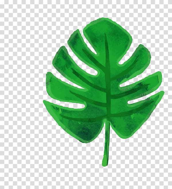 green leaf , Banana leaves transparent background PNG clipart