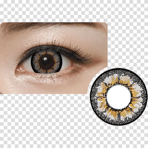 Contact Lenses Cafe Circle contact lens Cappuccino, Eye transparent background PNG clipart
