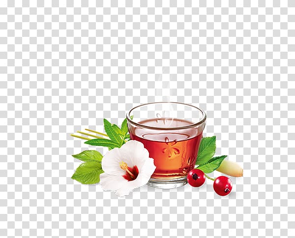 Herbal tea Biscotti Cafe Sugar, tea transparent background PNG clipart
