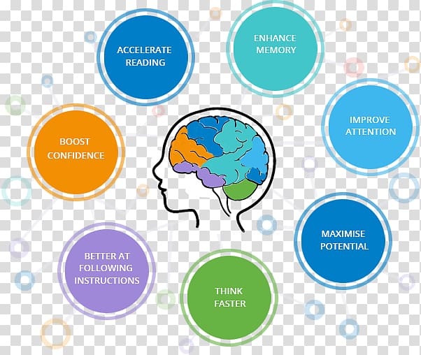 Learning Brain Cognitive training Education, quick processing transparent background PNG clipart