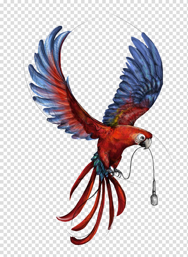 Macaw Fauna Feather Wing Beak, perroquet transparent background PNG clipart
