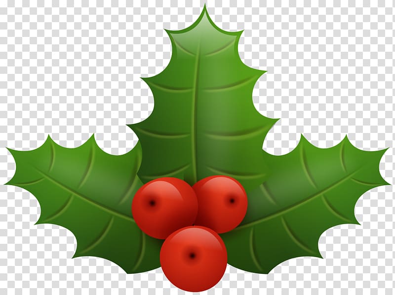 mistletoe , Common holly Santa Claus Christmas , Christmas Holly transparent background PNG clipart